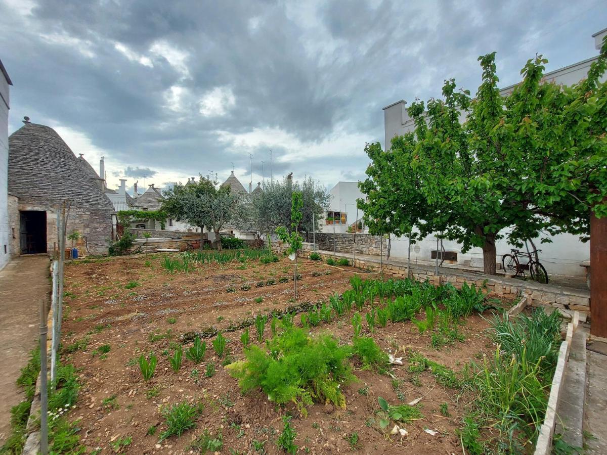 Вилла Il Trullo Di Giada E Mattia Альберобелло Экстерьер фото