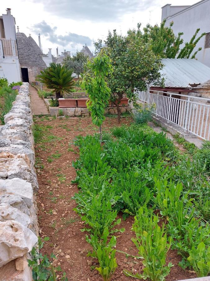 Вилла Il Trullo Di Giada E Mattia Альберобелло Экстерьер фото